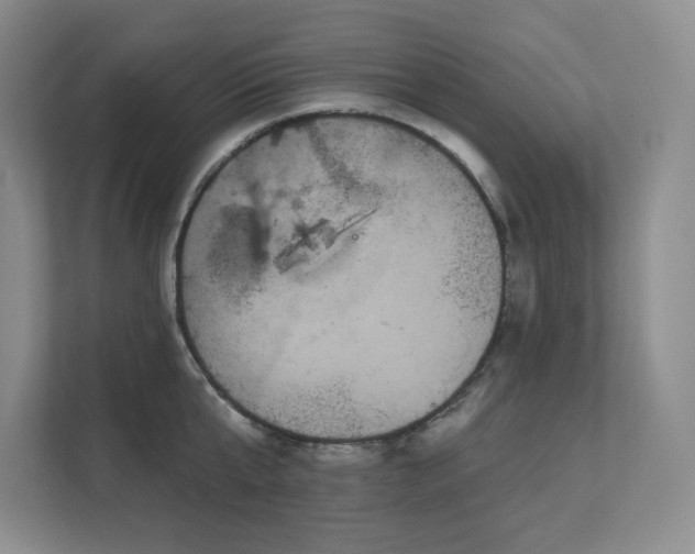 X0000111640807200907171545