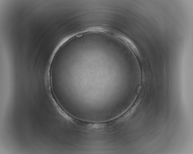 X0000111640808200907171545