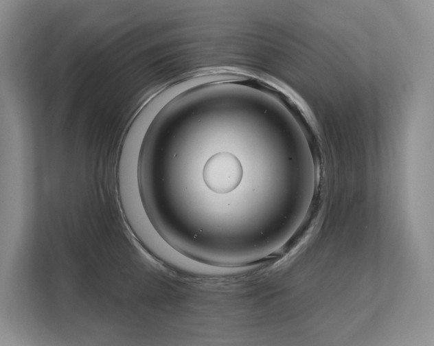 X0000111640809200907171545