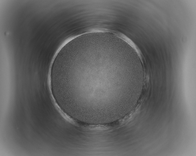 X0000111640811200907171545