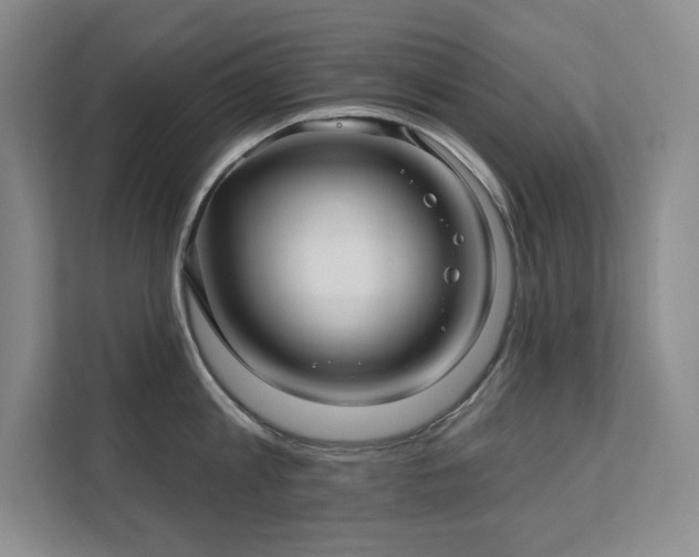 X0000111640813200907171545