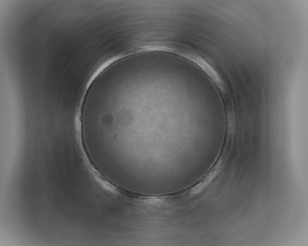 X0000111640814200907171545