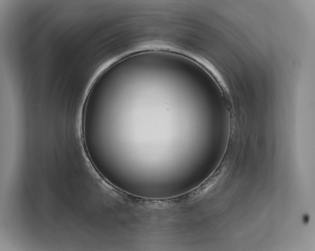 X0000111640815200907171545