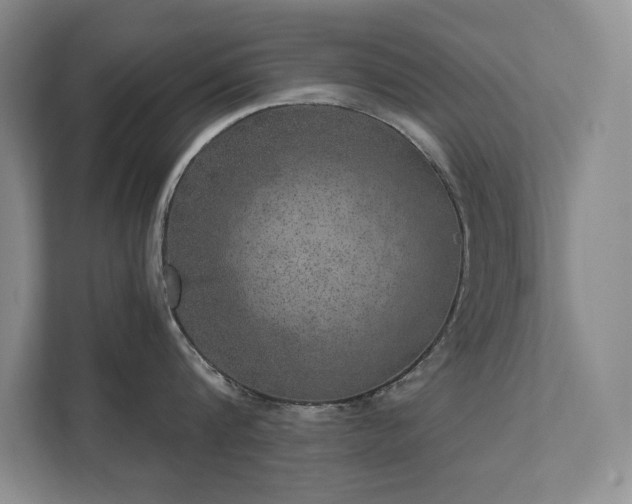 X0000111640816200907171545