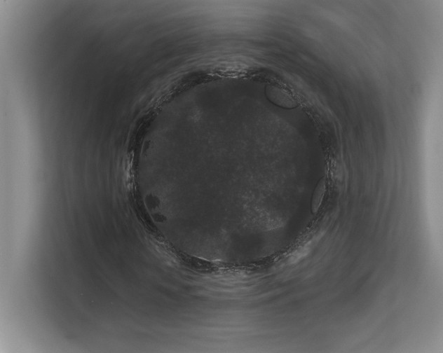 X0000111640818200907171545