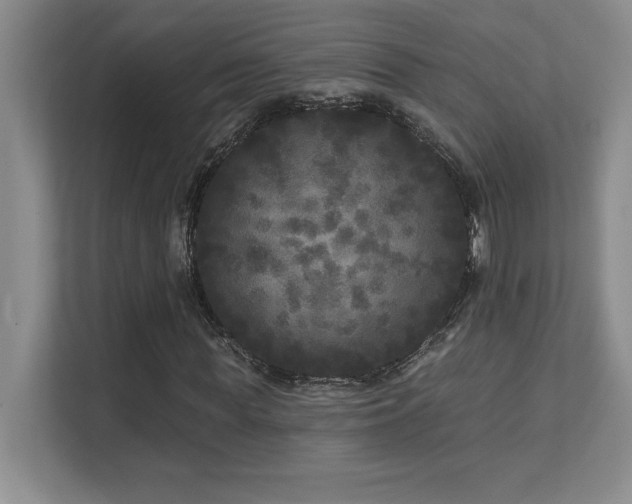 X0000111640819200907171545