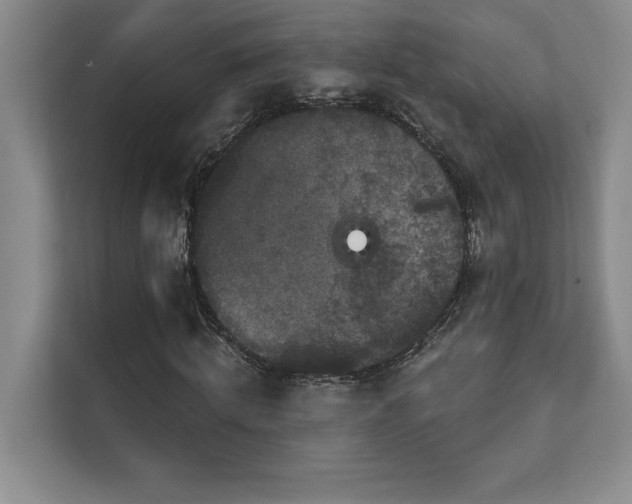 X0000111640820200907171545