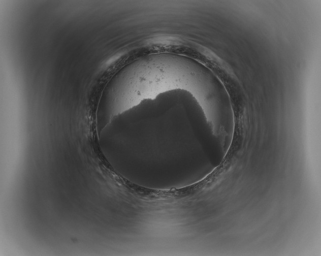 X0000111640822200907171545