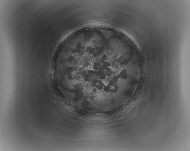 X0000111640823200907171545