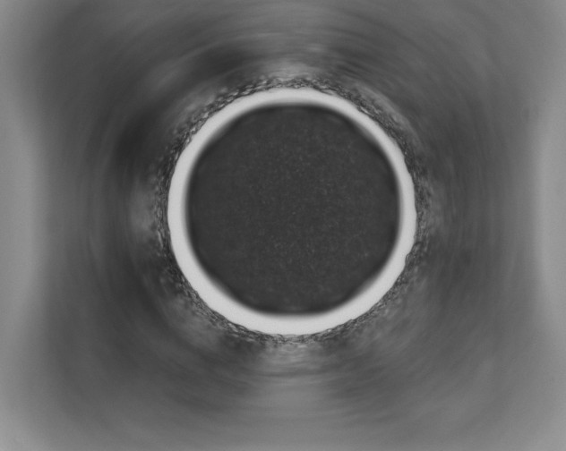 X0000111640824200907171545