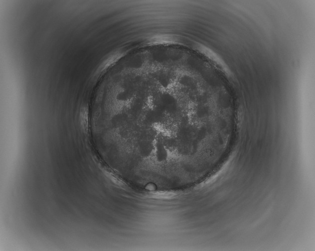 X0000111640825200907171545