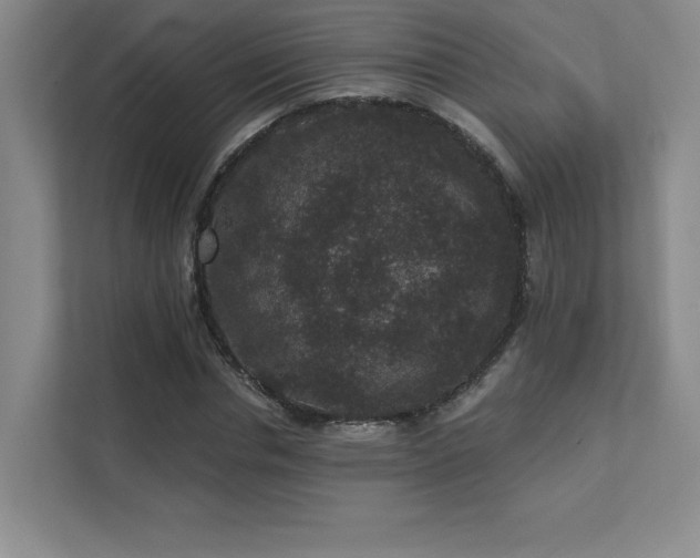 X0000111640826200907171545