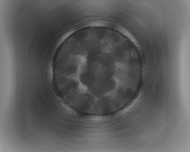 X0000111640829200907171545