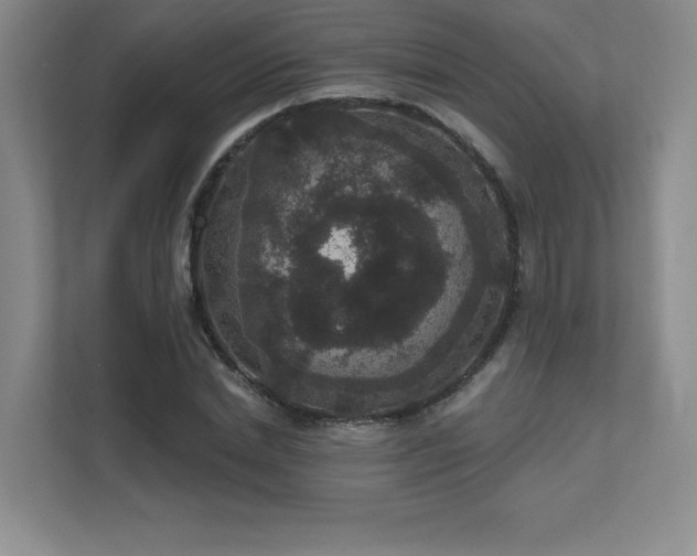 X0000111640830200907171545