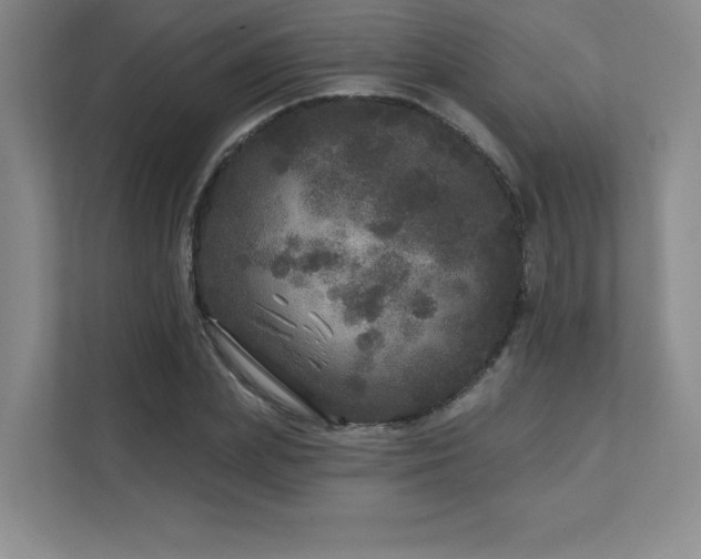 X0000111640831200907171545