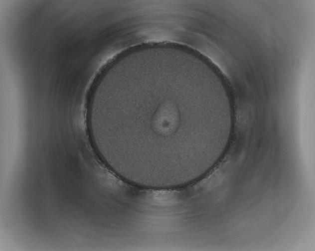 X0000111640832200907171545