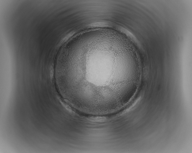 X0000111640833200907171545