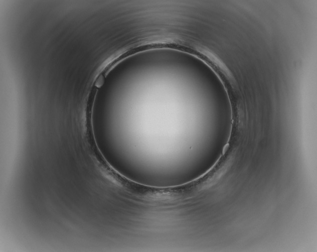 X0000111640834200907171545