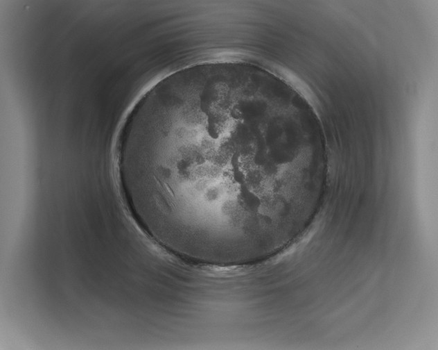 X0000111640835200907171545