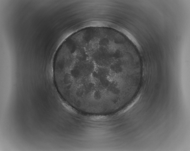 X0000111640837200907171545