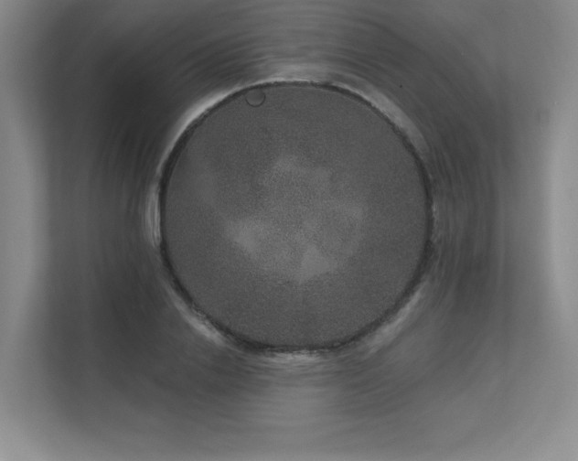 X0000111640838200907171545
