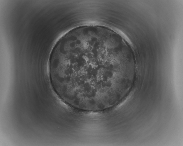 X0000111640839200907171545