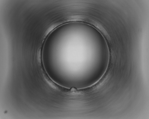X0000111640842200907171545