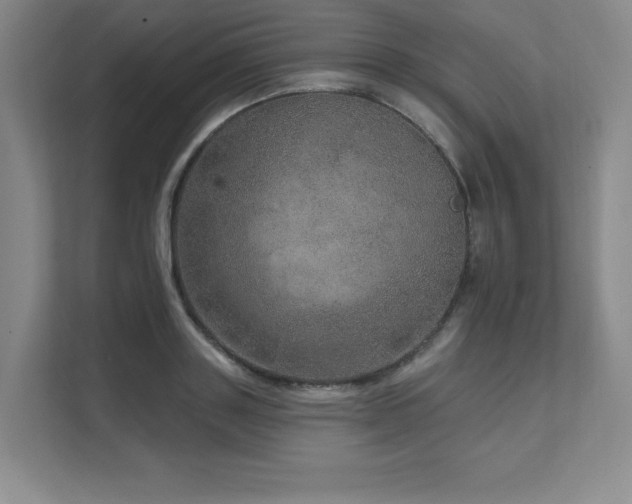 X0000111640843200907171545