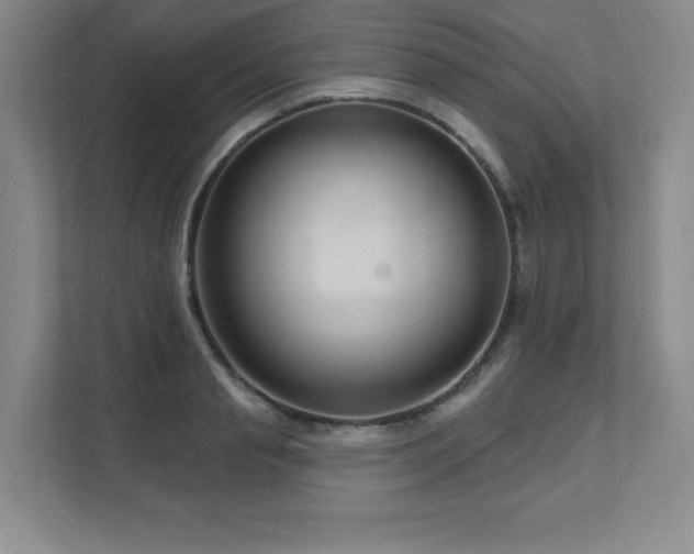 X0000111640845200907171545