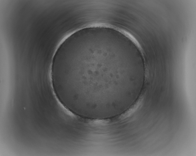 X0000111640847200907171545