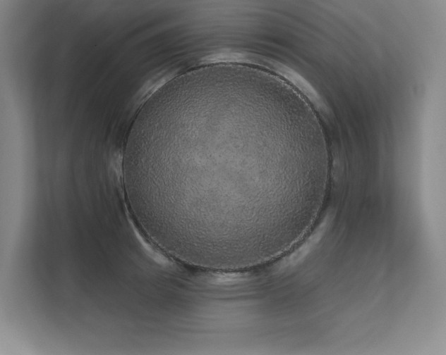 X0000111640849200907171545