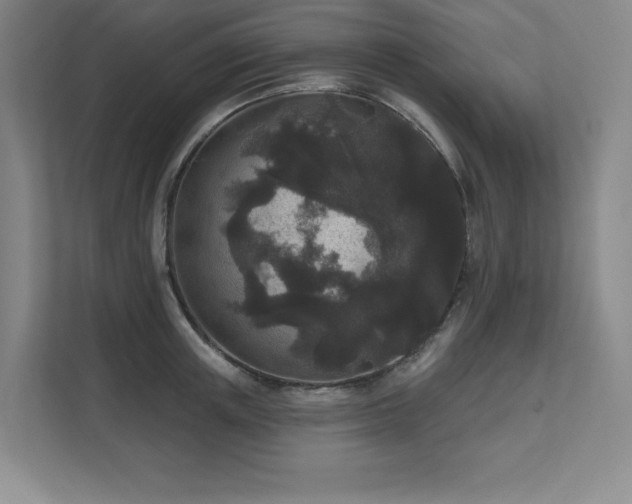 X0000111640851200907171545