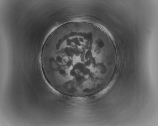 X0000111640855200907171545