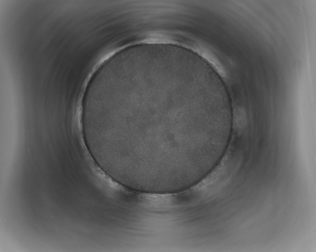 X0000111640856200907171545