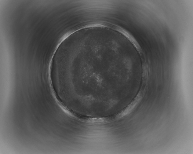 X0000111640858200907171545