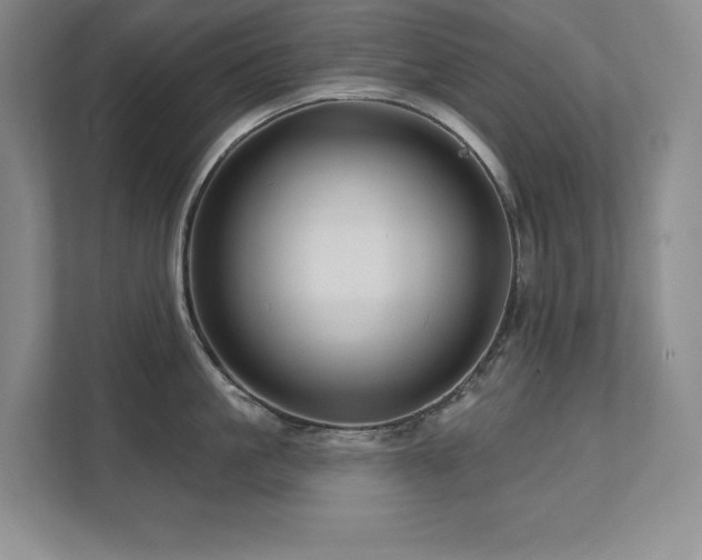 X0000111640861200907171545
