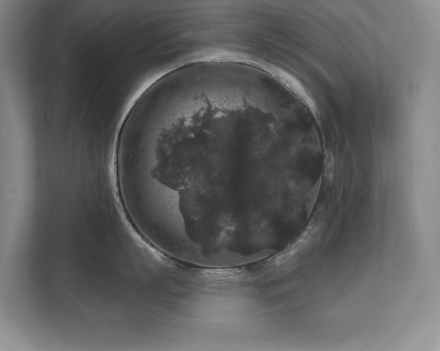 X0000111640863200907171545