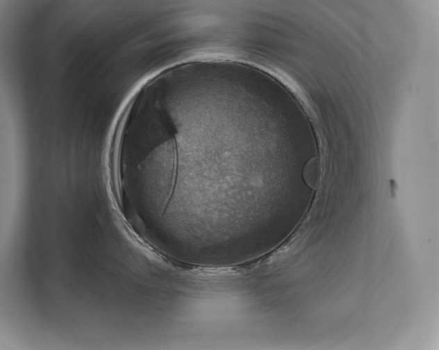X0000111640864200907171545