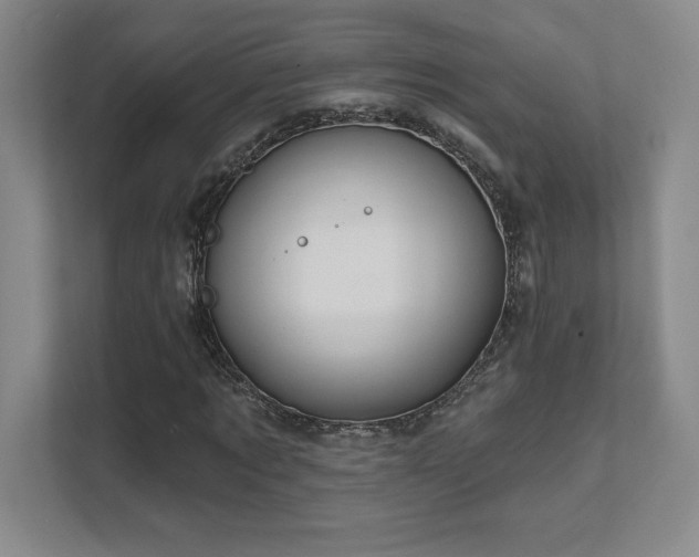 X0000111640869200907171545