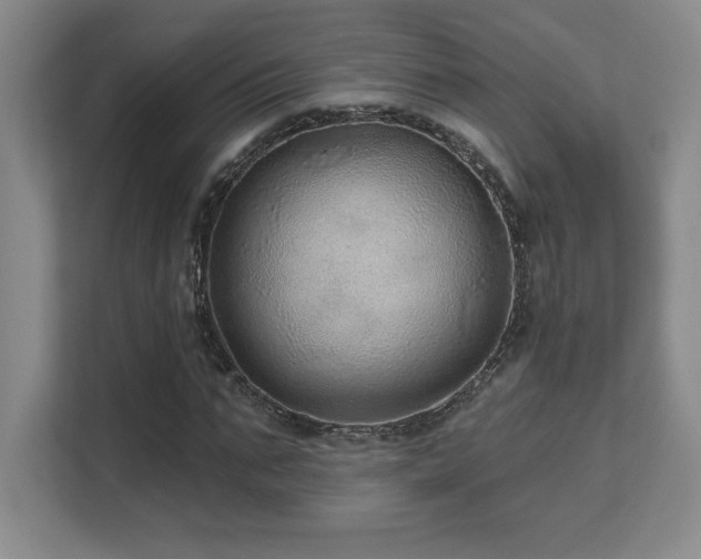 X0000111640871200907171545