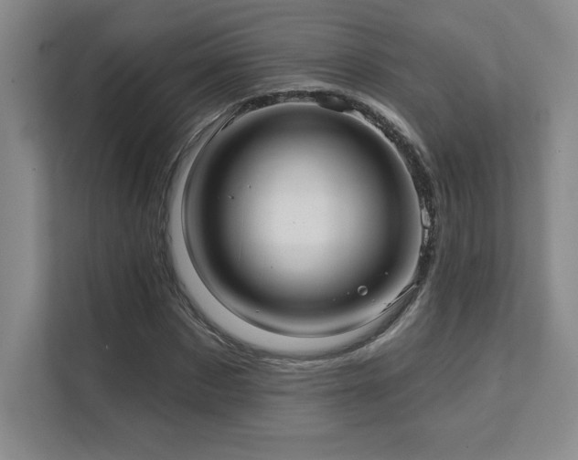 X0000111640873200907171545