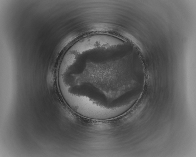 X0000111640874200907171545
