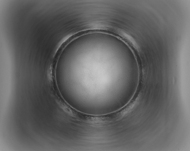 X0000111640875200907171545