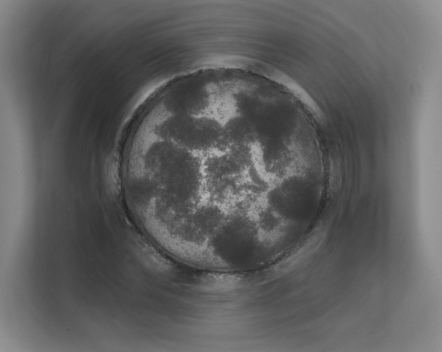 X0000111640878200907171545