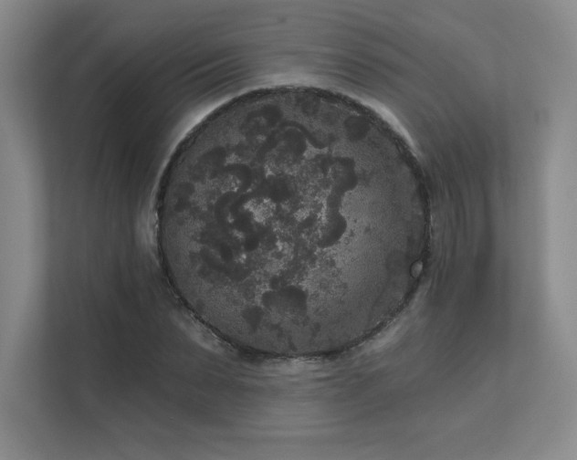 X0000111640879200907171545