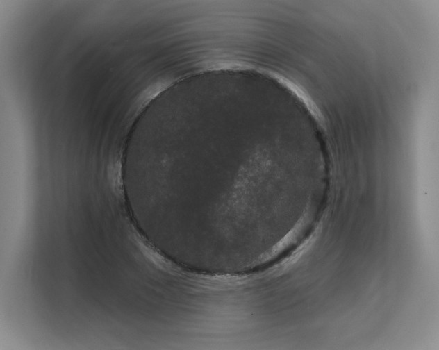 X0000111640881200907171545