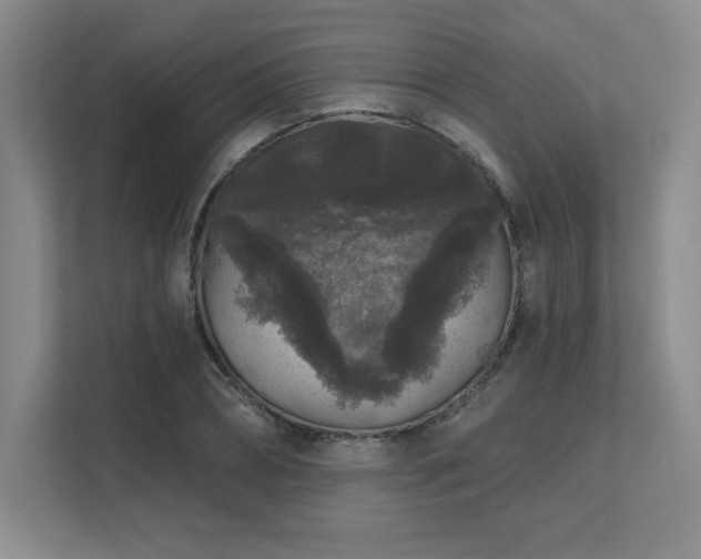 X0000111640882200907171545