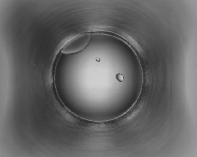 X0000111640885200907171544