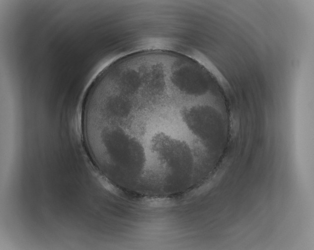 X0000111640886200907171544