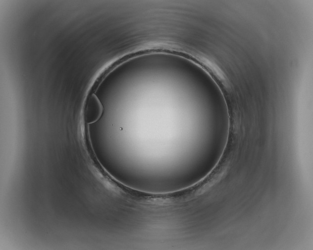 X0000111640888200907171544